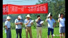 韋加無(wú)人機(jī)在城固縣開(kāi)展“兩防一噴”飛防作業(yè)服務(wù)，助力脫貧攻堅(jiān)水稻產(chǎn)業(yè)幫扶